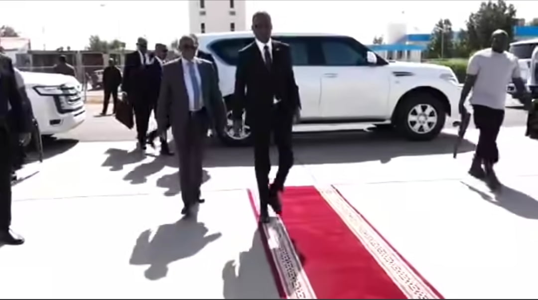 الكباشي