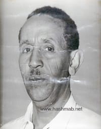 أحمد يوسف هاشم (أبو الصحف)